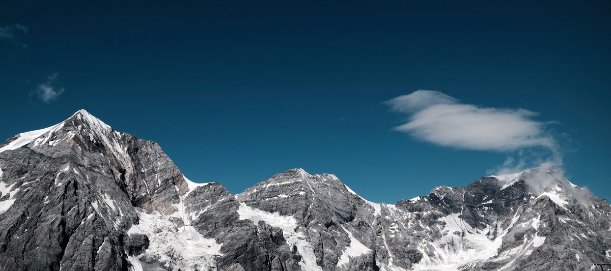 Terra Whole Health logo